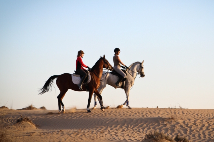 Desert - Horse Riding